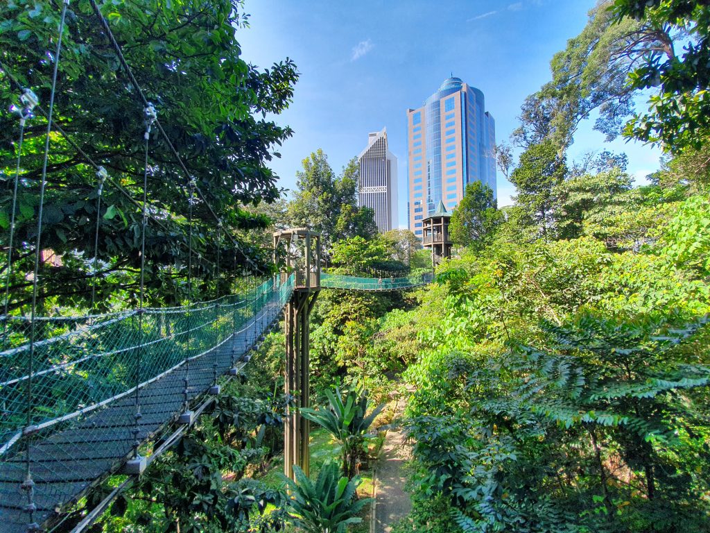 KL Forest Eco Park (Canopy Walk Trail) - 1step1footprint