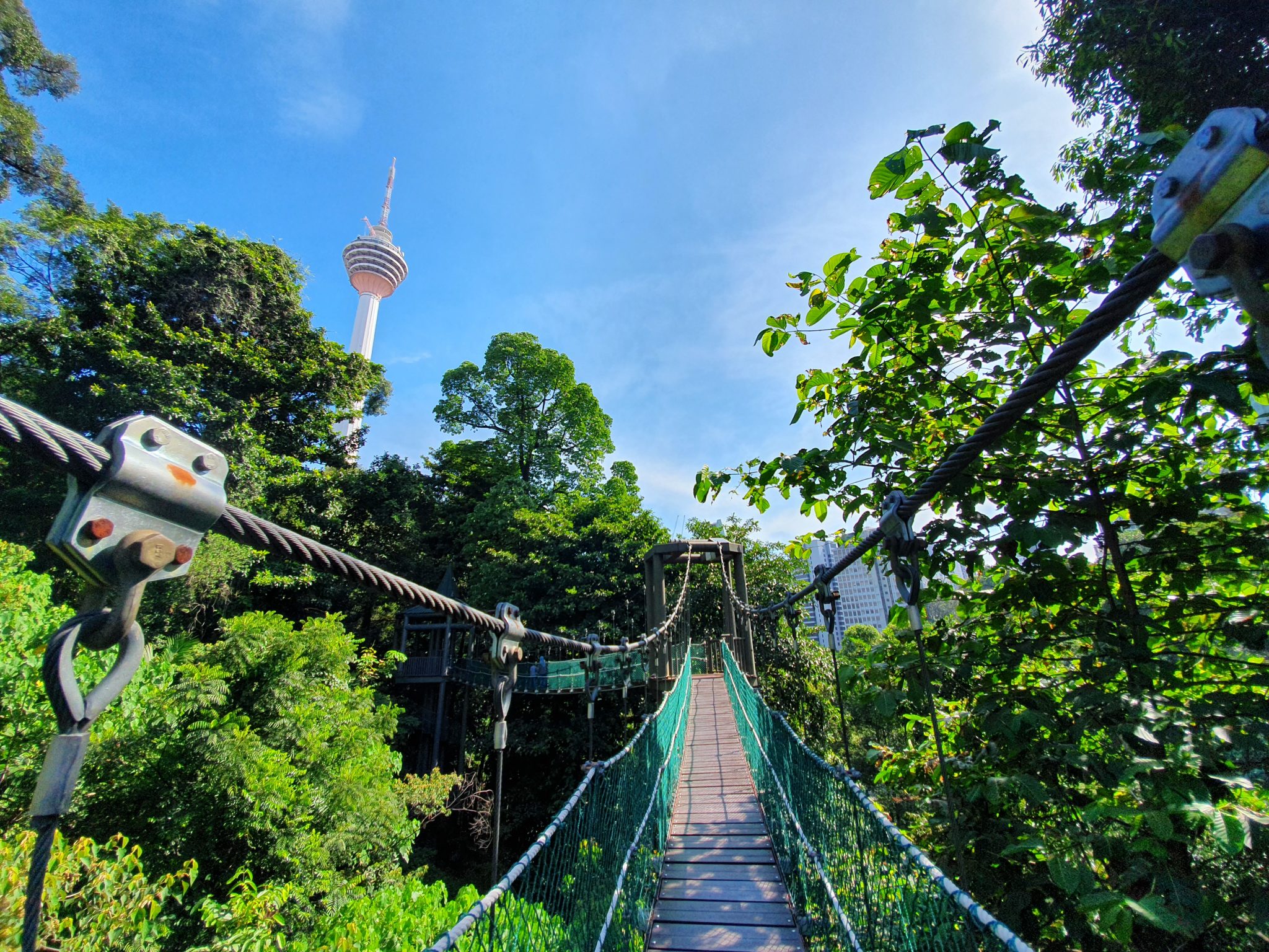 KL Forest Eco Park (Canopy Walk Trail) - 1step1footprint