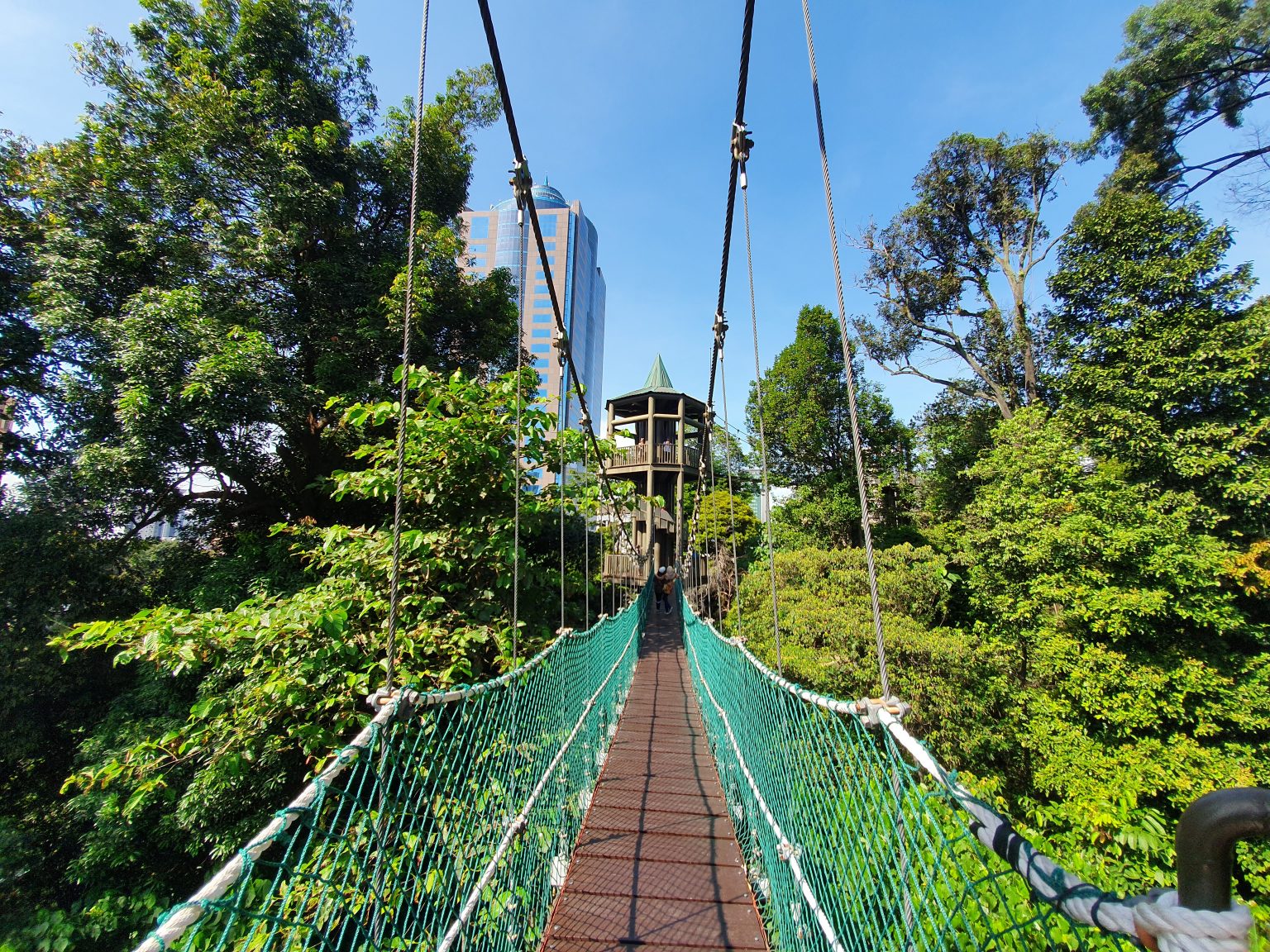 KL Forest Eco Park (Canopy Walk Trail) - 1step1footprint