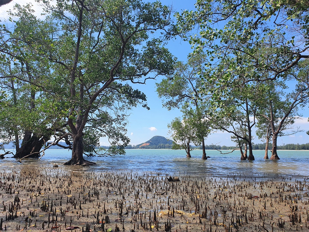 Pulau Mawar Heaven's Gate 天堂之门 - 1step1footprint